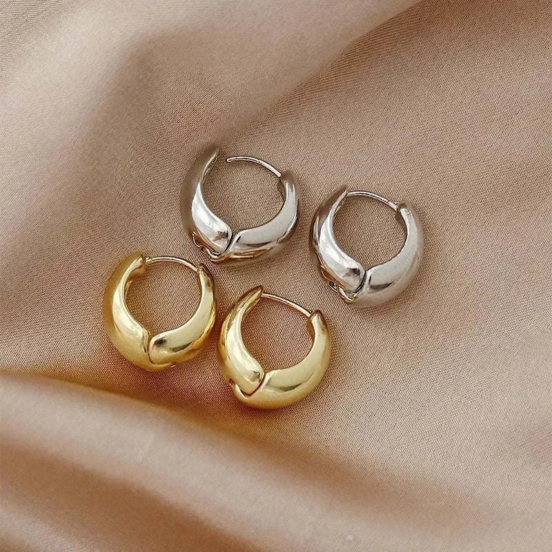Vintage Stainless Steel Hoop Earrings – Chunky Round Design, Timeless Party Jewelry