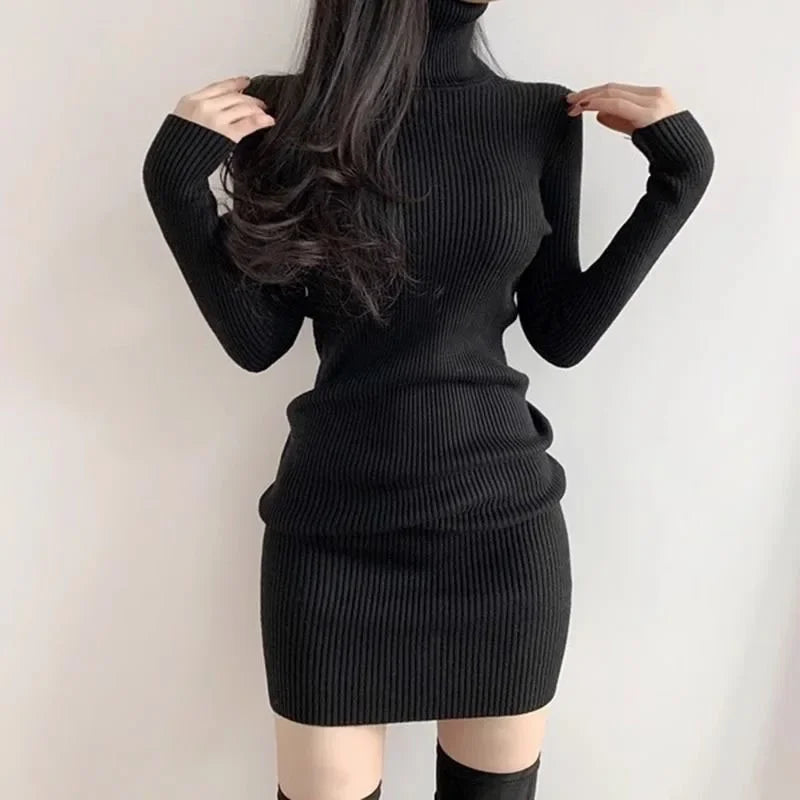 Women's Thick Knit Bodycon Dress -Fanan