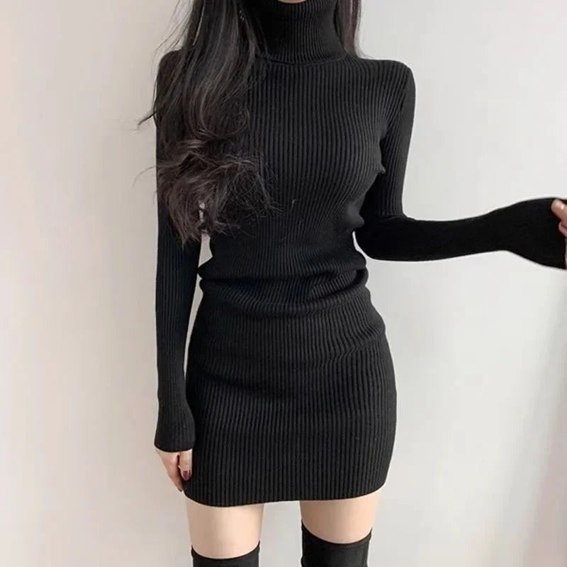 Women's Thick Knit Bodycon Dress -Fanan