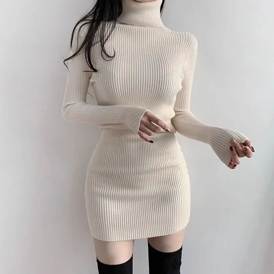 Women's Thick Knit Bodycon Dress -Fanan